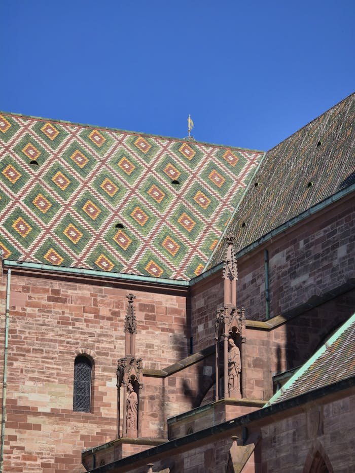 pexels photo 33275989.jpeg